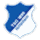 TSG Hoffenheim  Logo